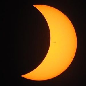 Meet your Posher, Tony